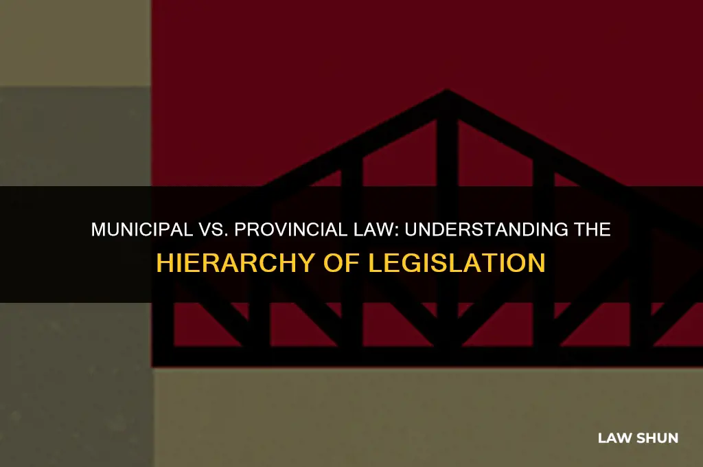 does municipal law trump provincial law