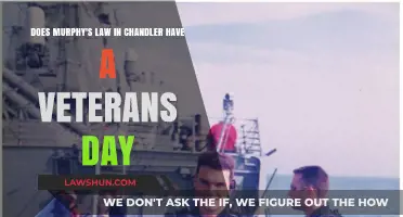 Murphy's Law Chandler: Honoring Veterans Day Traditions and Events
