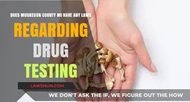 Muskegon County MI Drug Testing Laws: What You Need to Know