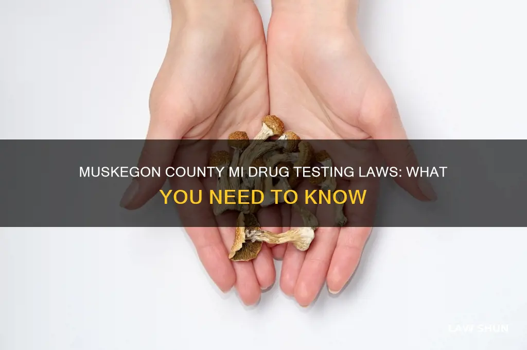 does muskegon county mi have any laws regarding drug testing