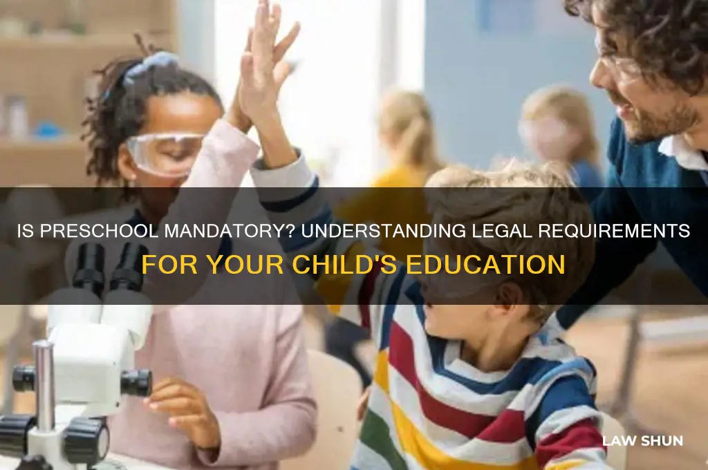 does my child have to go to preschool by law