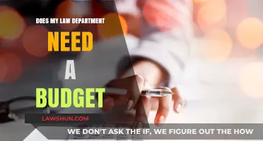 Why Your Law Department Needs a Budget: Essential Insights