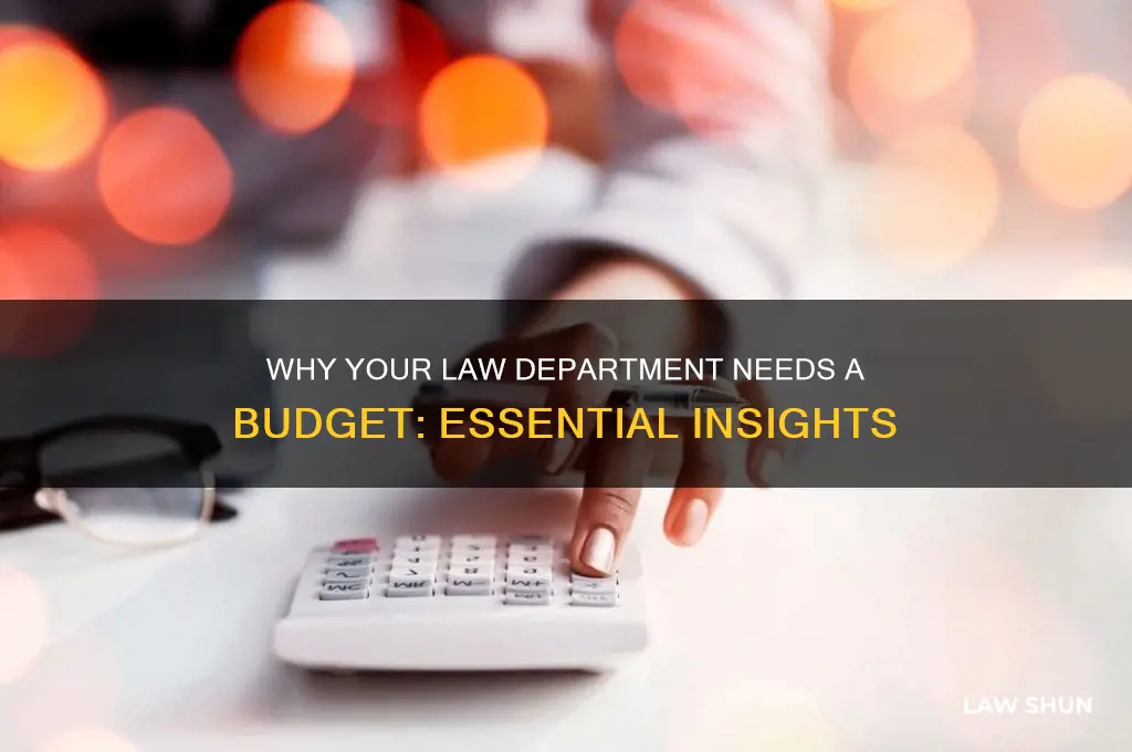 does my law department need a budget