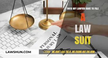 Must Your Lawyer File a Lawsuit? Understanding Legal Options and Timing