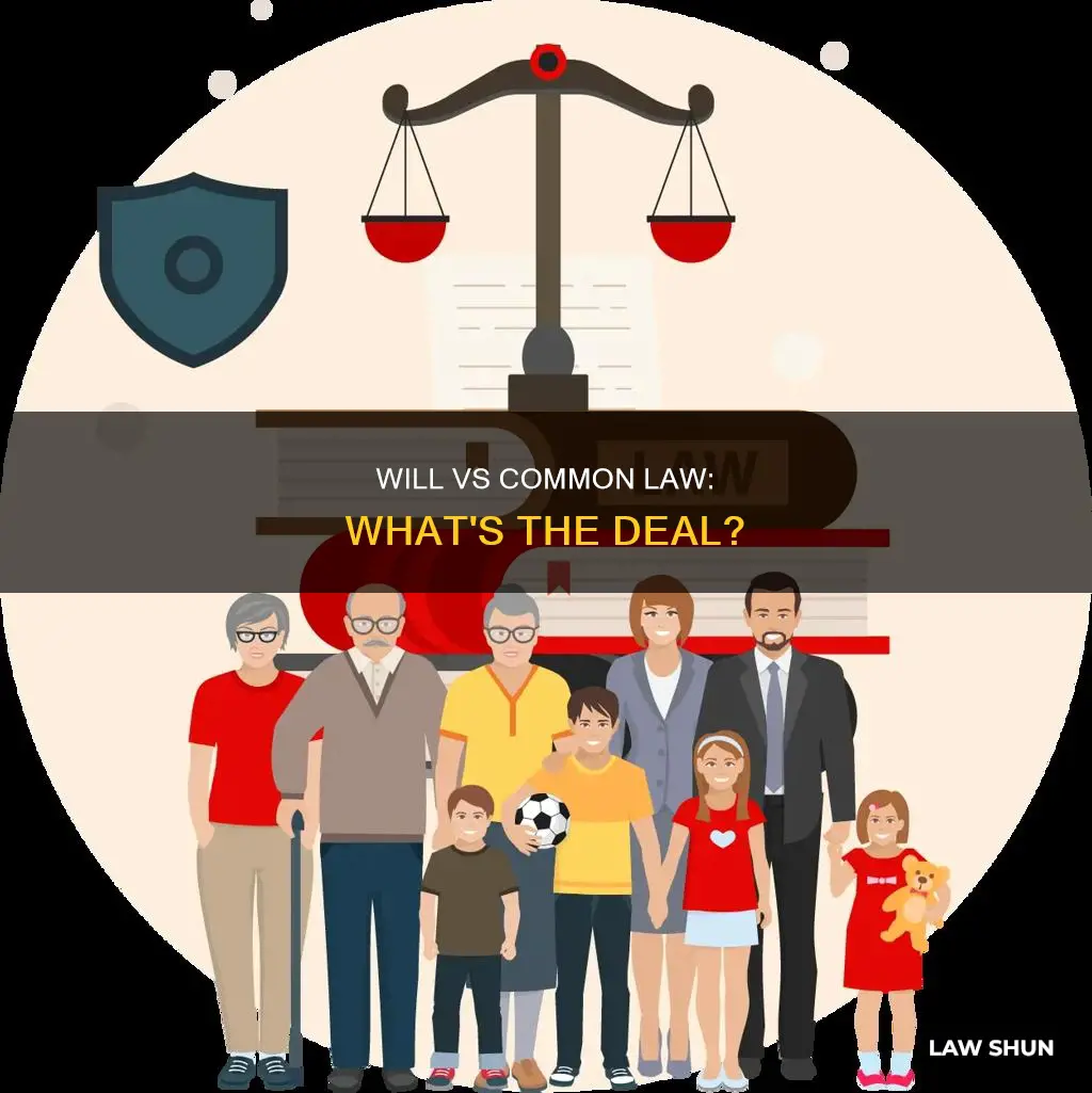 does my will usurp common law