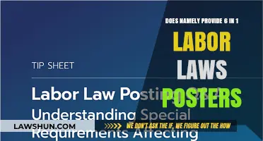 Does Namely Offer 6-in-1 Labor Law Posters? Find Out Here