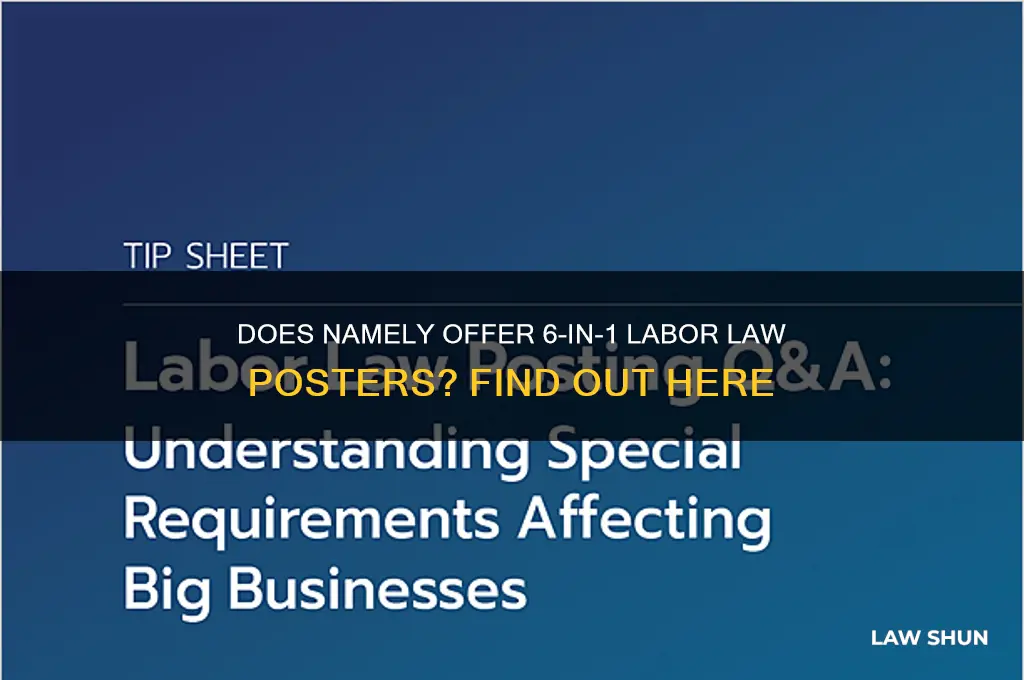 does namely provide 6 in 1 labor laws posters