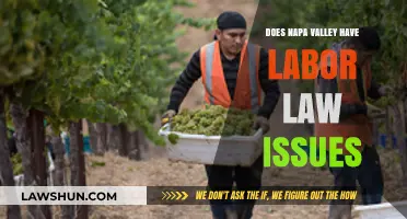 Napa Valley Labor Laws: Uncovering Workplace Challenges and Legal Concerns