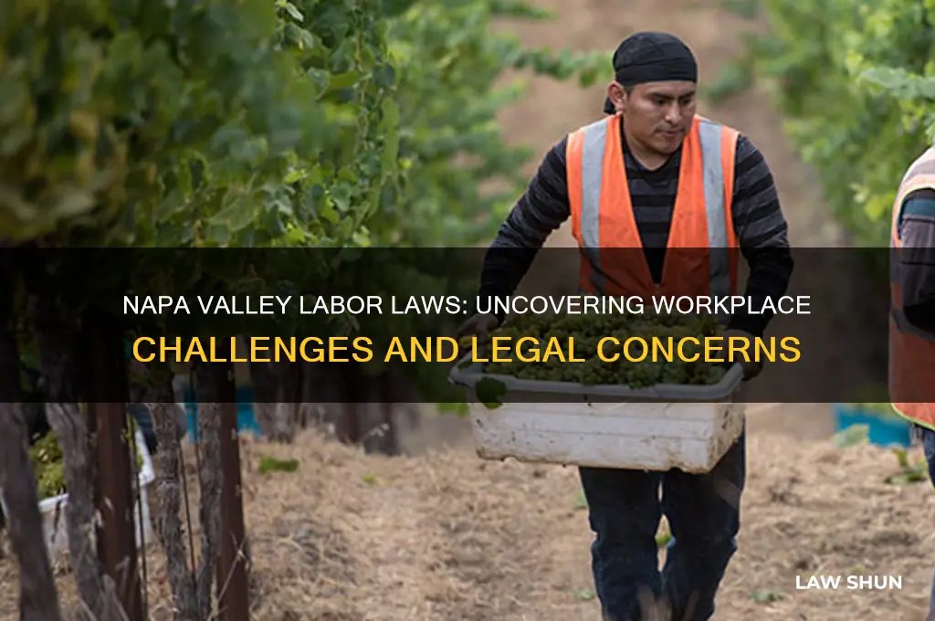 does napa valley have labor law issues