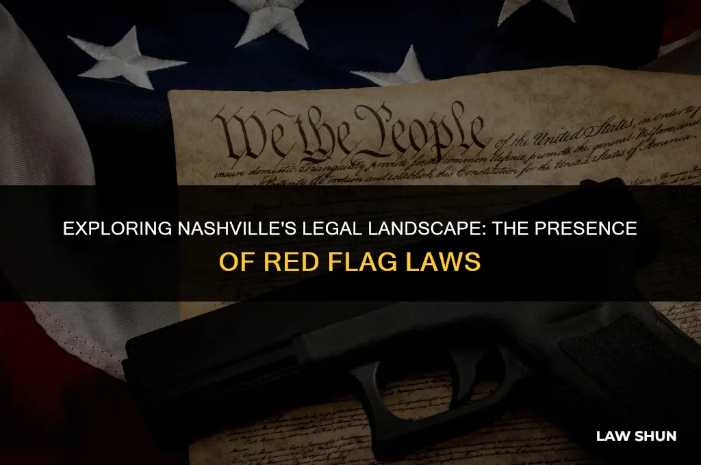 does nashville have red flag laws