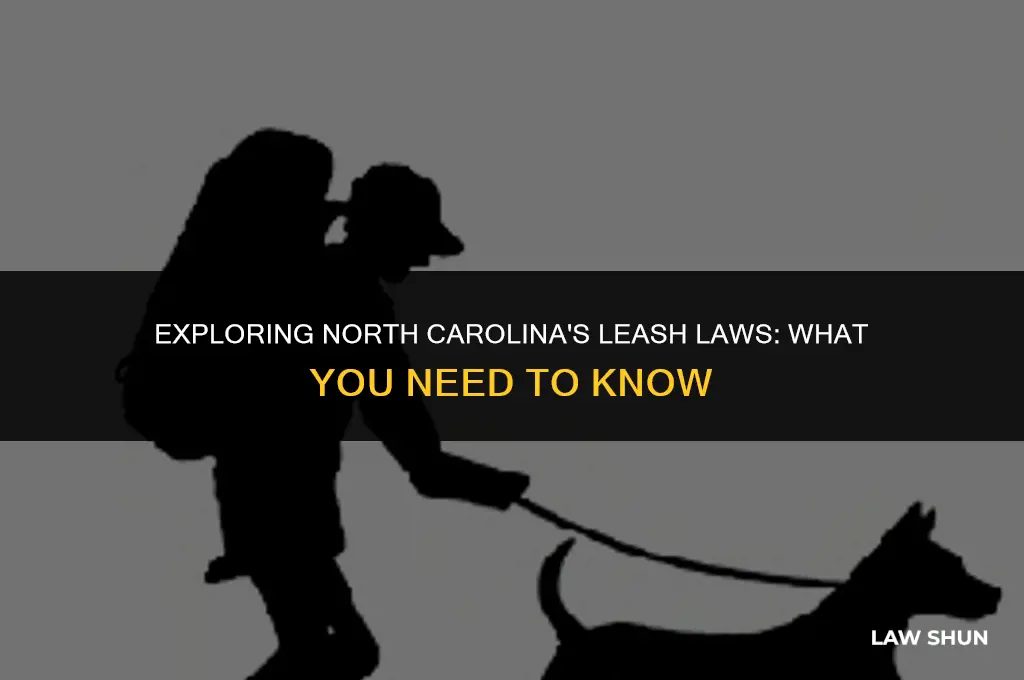 does nc have a leash law