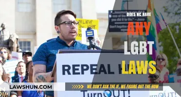 Exploring LGBTQ+ Protections in North Carolina: A Legal Overview