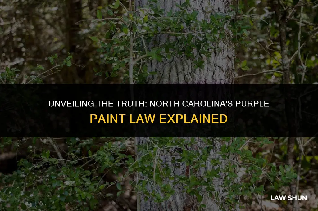 does nc have purple paint law