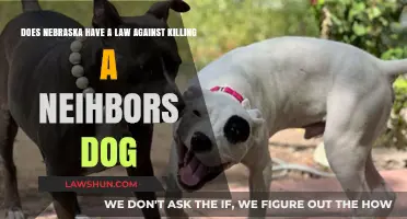 Nebraska's Legal Stance on Killing a Neighbor's Dog: What You Need to Know