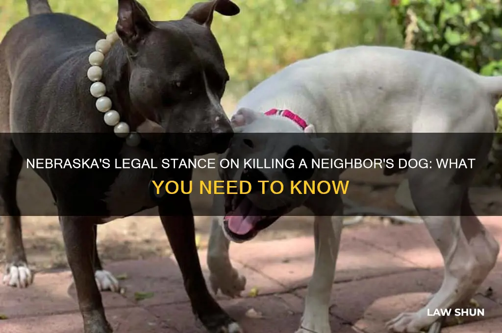 does nebraska have a law against killing a neihbors dog