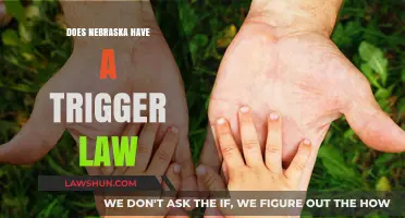 Exploring Nebraska's Legal Landscape: The Presence of Trigger Laws