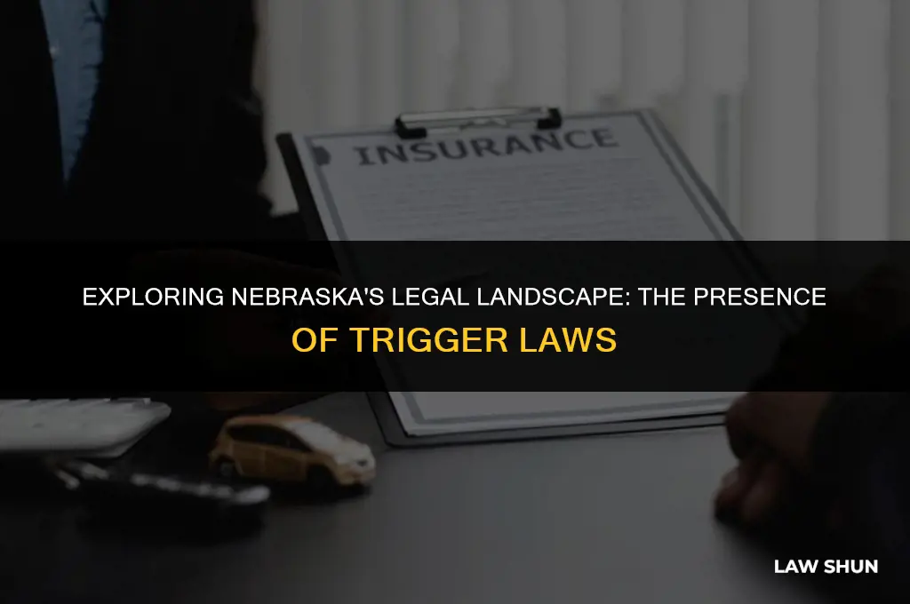 does nebraska have a trigger law
