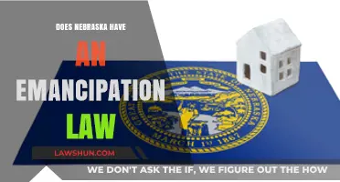 Understanding Nebraska's Emancipation Laws: A Comprehensive Guide