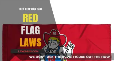 Exploring Nebraska's Stance on Red Flag Laws: A Comprehensive Overview