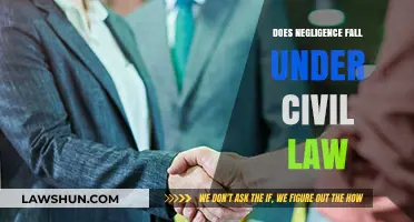 Understanding Negligence Claims: Civil Law Implications and Legal Responsibilities