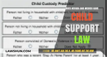 Child Support Laws in Nevada and Mexico: A Comparative Overview