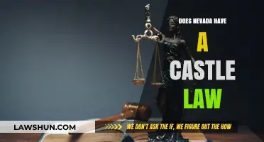 Exploring Nevada's Self-Defense Laws: Does the Silver State Have a Castle Doctrine?