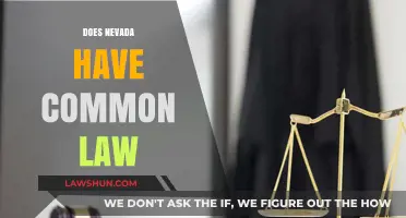 Nevada's Stance on Common Law Marriages