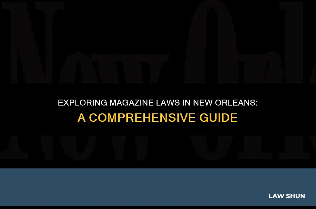 does neworlins have any magazine laws
