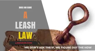 Exploring New Hampshire's Canine Control Laws: Leash or No Leash?