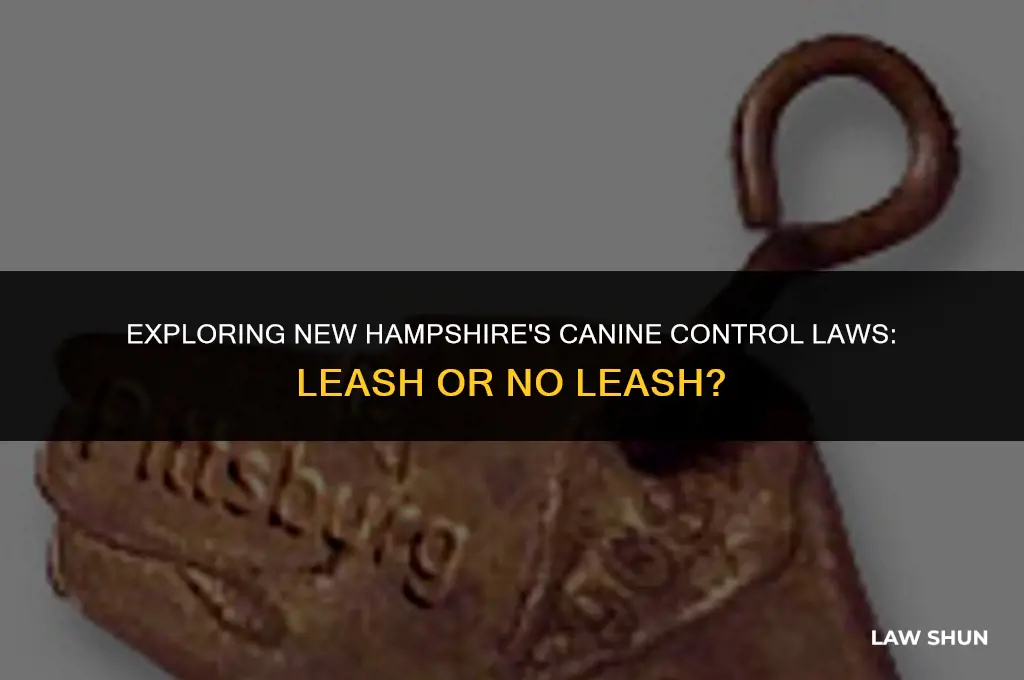 does nh have a leash law