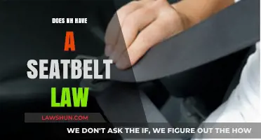 Buckle Up in the Granite State: NH's Seatbelt Law Explained