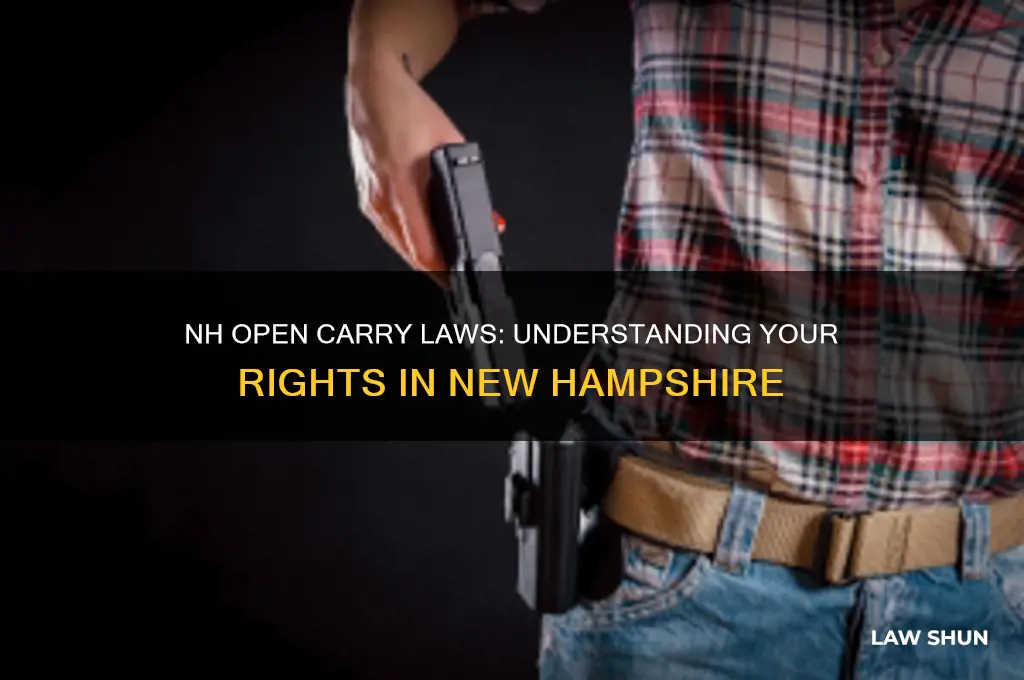 does nh have open carry law