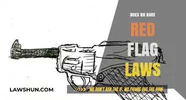 Exploring New Hampshire's Stance on Red Flag Laws: A Comprehensive Overview