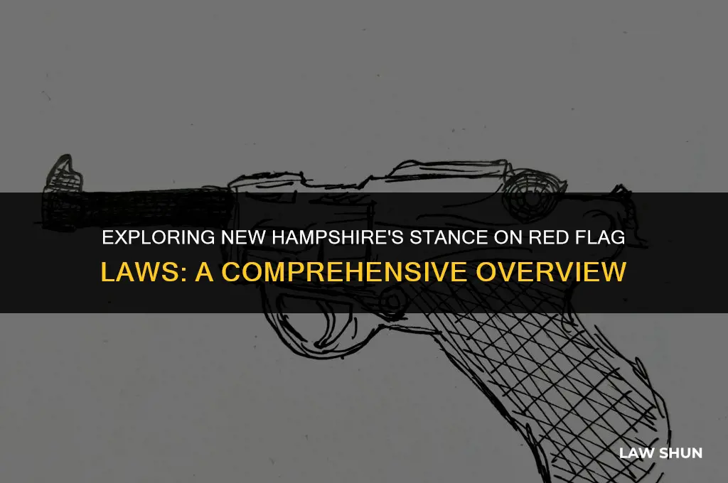 does nh have red flag laws