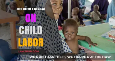 Nigeria's Child Labor Laws: Understanding Legal Protections for Minors