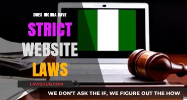 Exploring Nigeria's Digital Landscape: A Guide to Website Regulations