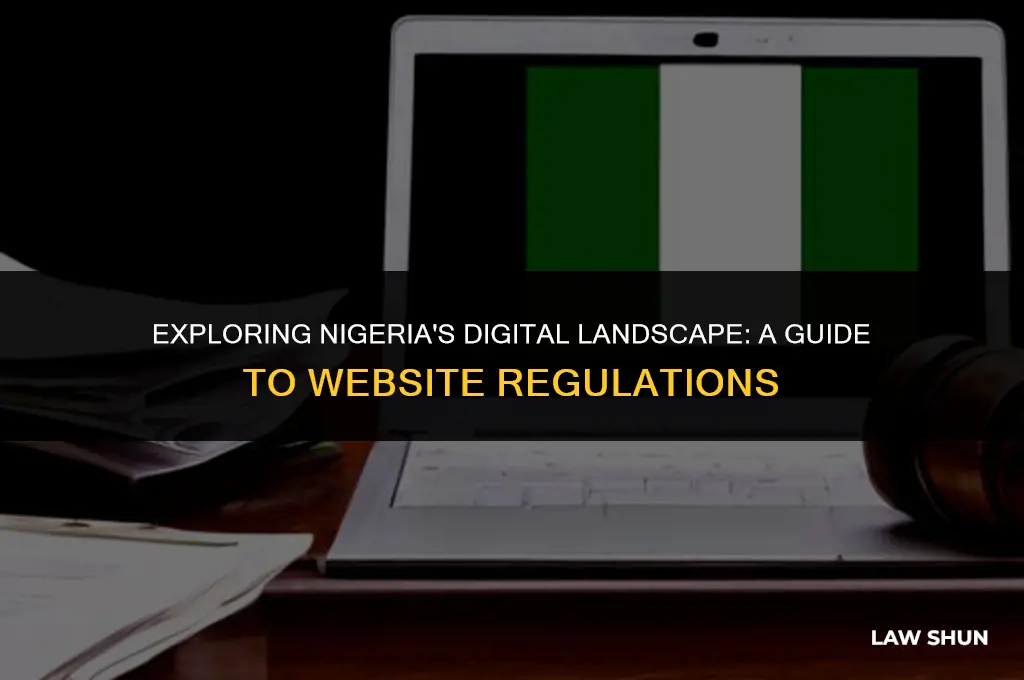 does nigiria have strict website laws
