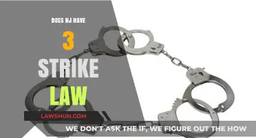 Understanding New Jersey's Approach to Repeat Offenses: A Deep Dive