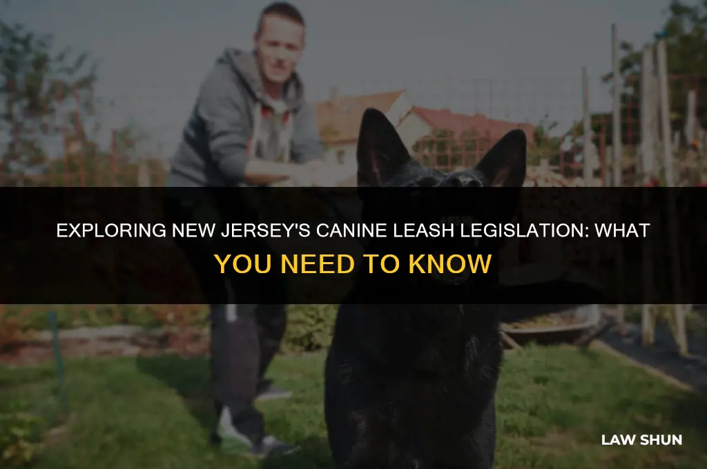 does nj have a leash law