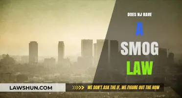 Understanding New Jersey's Smog Laws: A Comprehensive Guide