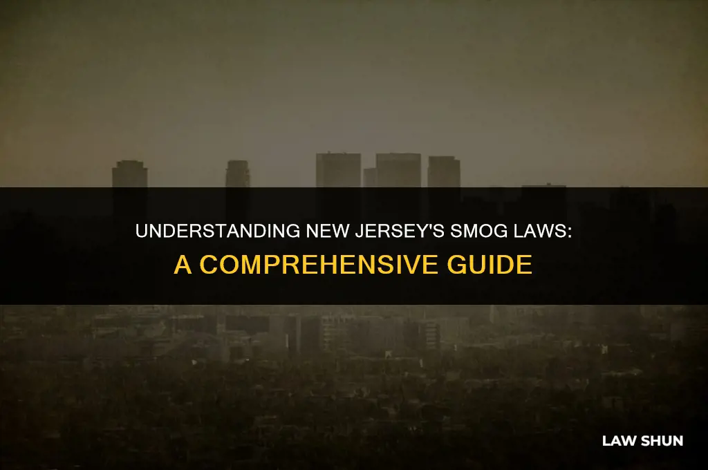 does nj have a smog law