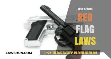 Understanding New Jersey's Red Flag Laws: A Comprehensive Guide