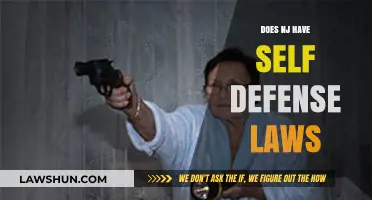 Understanding Self-Defense Laws in New Jersey: A Comprehensive Guide