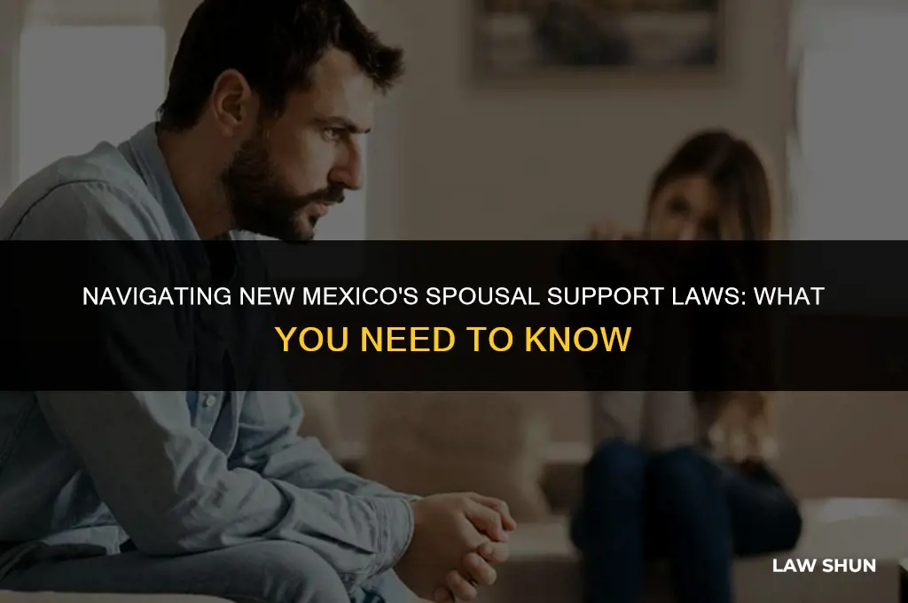 does nm hace sposial support laws