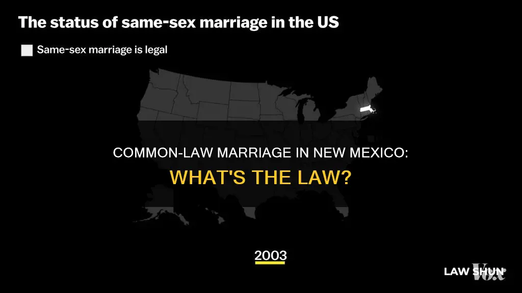 does nm have common law marriage