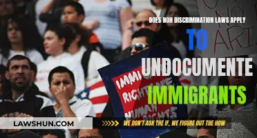 Undocumented Immigrants: Are They Covered by Non-Discrimination Laws?