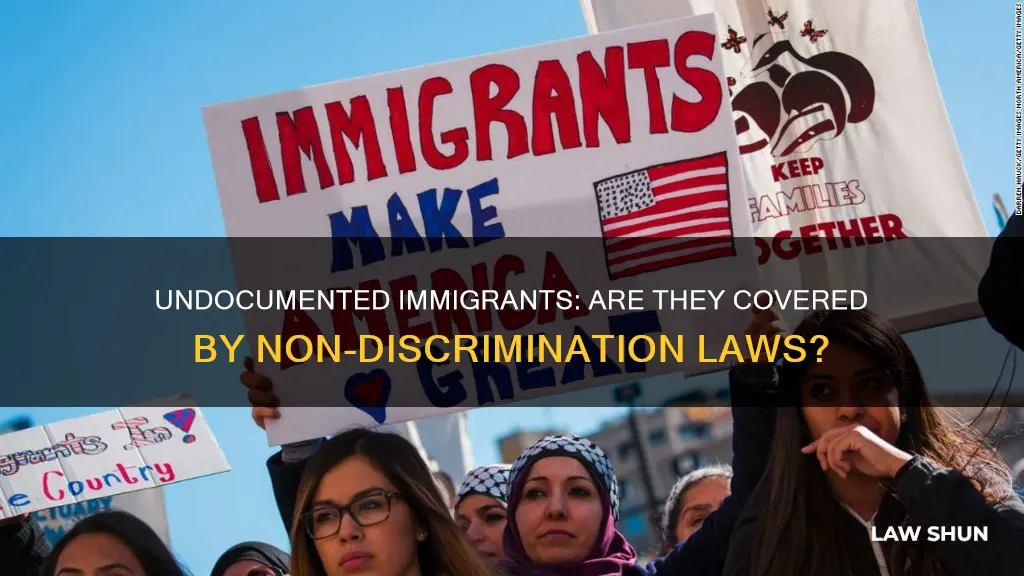 does non discrimination laws apply to undocumented immigrants