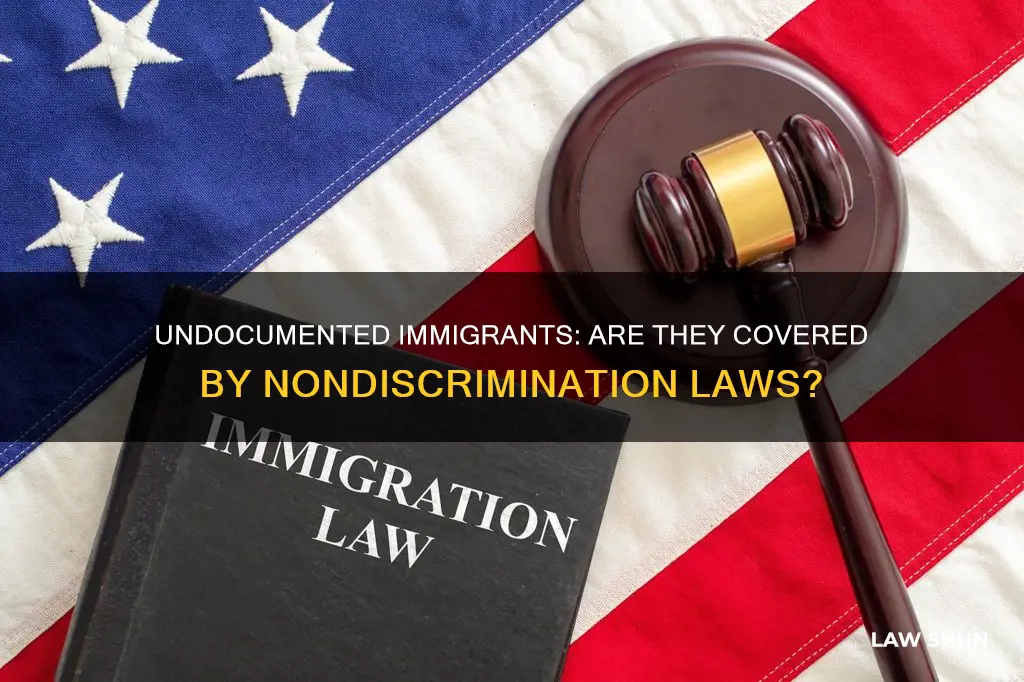 does nondiscrimination laws apply to undocumented immigrants