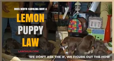 North Carolina's Lemon Puppy Law: Protecting Pet Buyers or Myth?