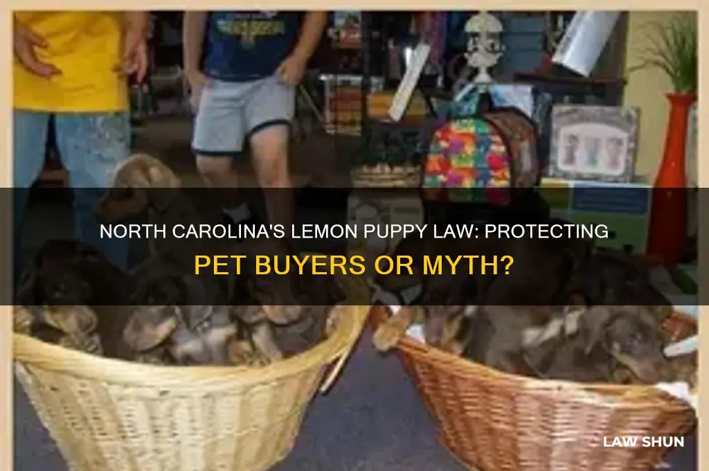 does north carolina have a lemon puppy law
